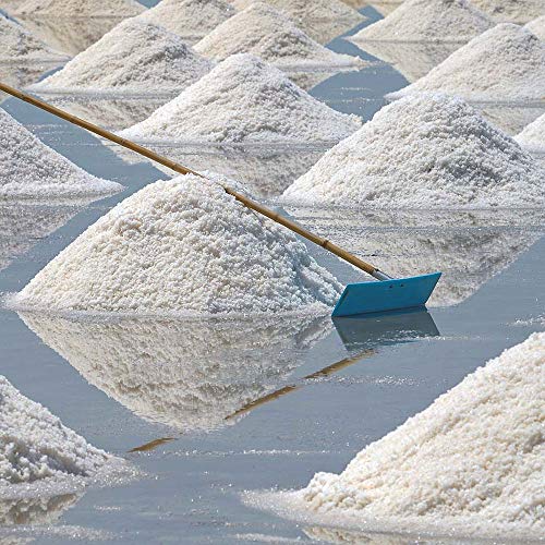 Mediterranean Sea Salt, Coarse Grain 1 Lb.