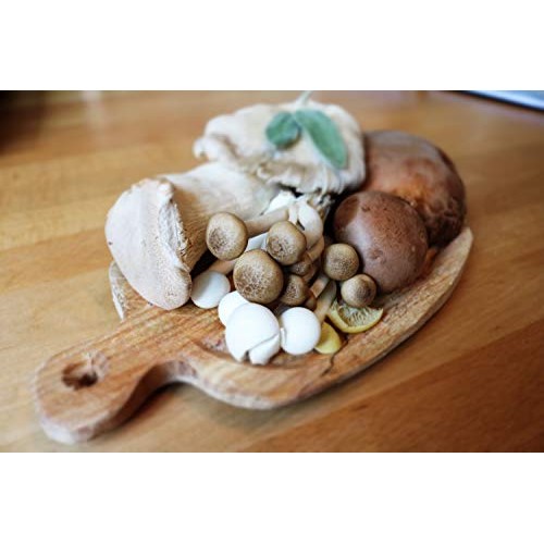 Malt Extract Agar Mea Dehydrated, 500 Grams