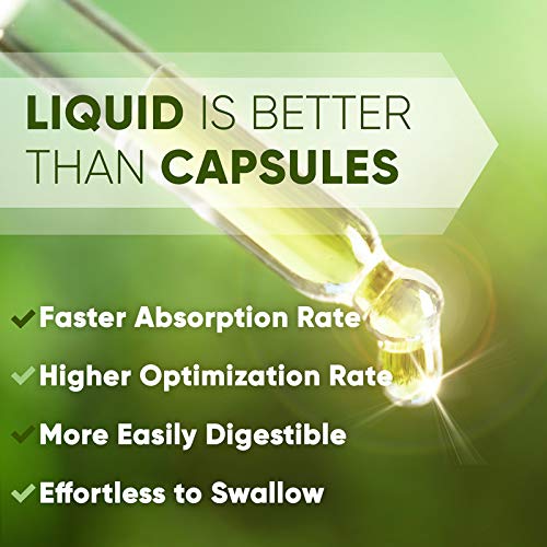 Coriander Seed 60 Capsules, 1000 Mg, Organic Coriander Seed Cor