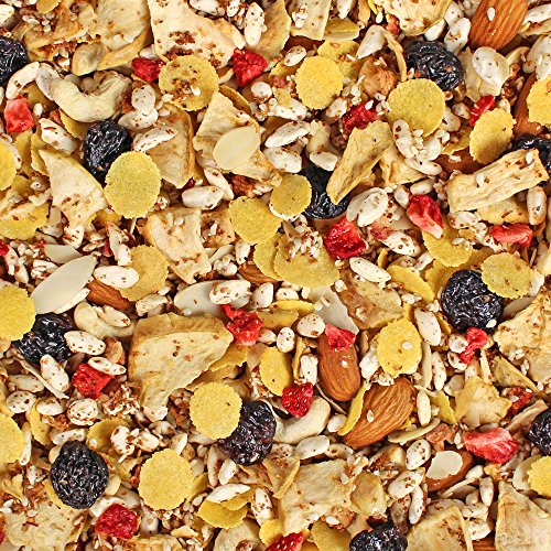 Seitenbacher Gluten Free Muesli Strawberry Natural Cereal, 13.2