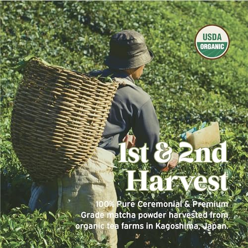 SEN CHA Naturals Organic Everyday Matcha Powder, Authentic Japan...