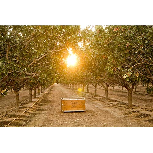 Setton Farms Seasoned Pistachio Kernels, Garlic Onion Flavored,