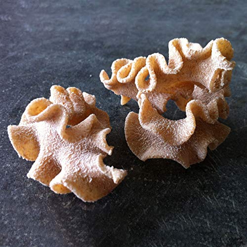 Sfoglini Organic Whole Grain Pasta Variety Pack, Whole Grain Rad