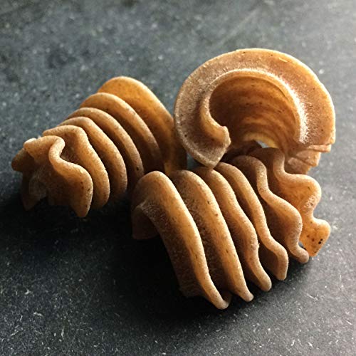 Sfoglini Organic Whole Grain Pasta Variety Pack, Whole Grain Rad