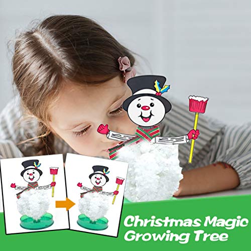 Shan-S Magic Growing Crystal Christmas Tree, Alonea Kids Diy Fel