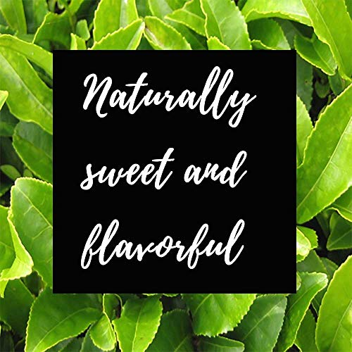 Shangri La Tea Company Iced Tea, Tropical Passion, Bag Of 6, 1/2