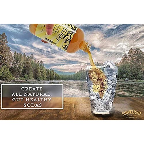 All Natural Drinking Vinegars For Sodas And Cocktails - 4 Flavor