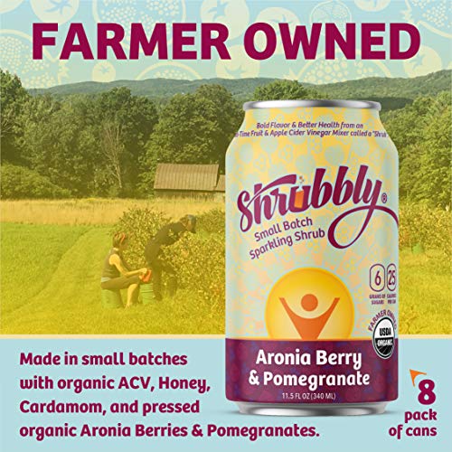 Shrubbly, Healthy Soda | Aronia Berry + Pomegranate | Shrub Drin