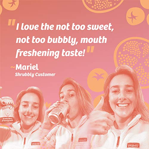 Shrubbly, Healthy Soda | Aronia Berry + Pomegranate | Shrub Drin