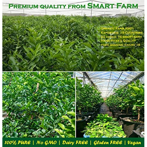 Siam Herbs : Kaffir-Lime-Leaves, Dried | Premium Gourmet Ingredi