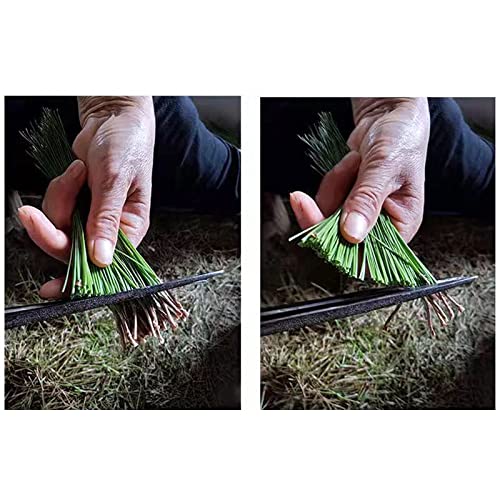 SIFANGDA Pine Needle Tea 松针茶 4oz115g Cut and Sifted Pure Na...