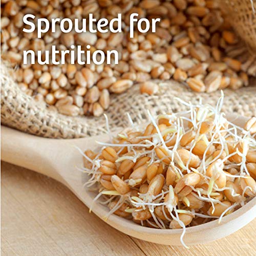 Silver Hills Mack’S Flax Bread, Low Fat Bread, Made With Organic