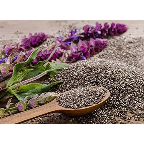 Simpliful Organic Whole Black Chia Seed, 14-Oz – Ready-To-Eat T