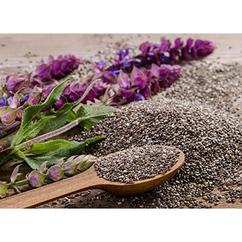 Simpliful Organic Whole Black Chia Seed, 14-Oz – Ready-To-Eat T