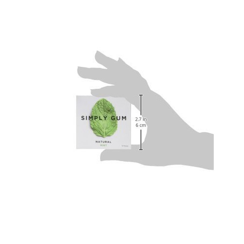 Simply Gum Natural Mint Chewing Gum, 15 Ct
