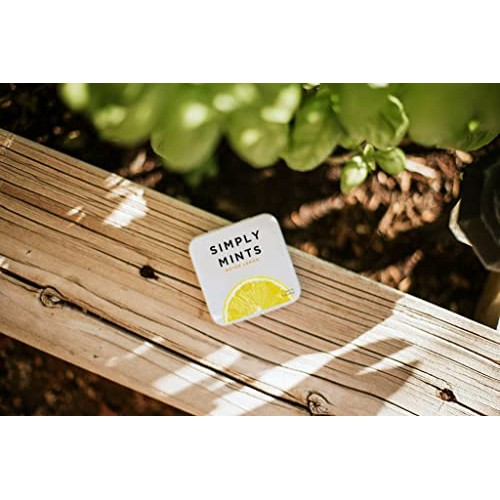 Simply Mints | Meyer Lemon Breath Mints | Pack of Six | Zesty Le...