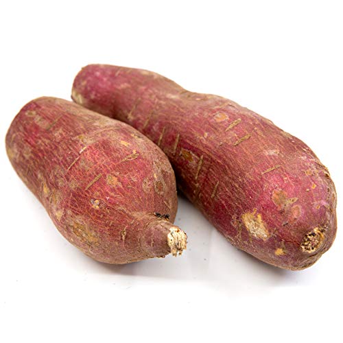Fresh Japaneese Sweet Potato Murasaki, 6 Pound Box