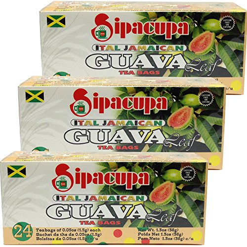 Sipacupa Guava Leaf Tea Bags 24 bags Pack of 3