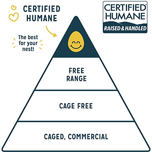 Sir Kensingtons Condiments Perfect For Grilling Mixed Picnic Pa