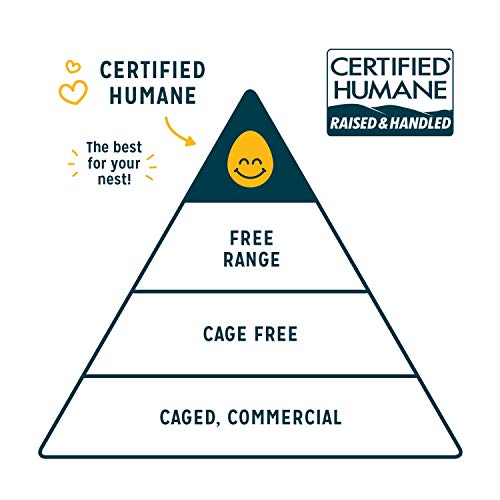 Sir Kensingtons Mayonnaise Classic Non-Gmo Project Verified, Gl