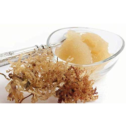 Sisi Lola Sea Moss Raw - Mineral Rich All-Natural Wild Irish Sea