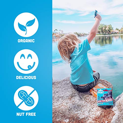 Skout Organic Blueberry Blast Real Food Bars For Kids 36 Pack