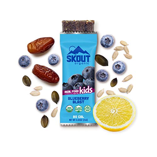Skout Organic Blueberry Blast Real Food Bars For Kids 36 Pack