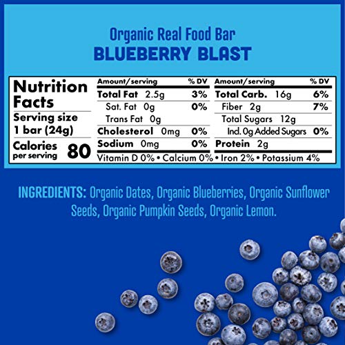 Skout Organic Blueberry Blast Real Food Bars For Kids 36 Pack