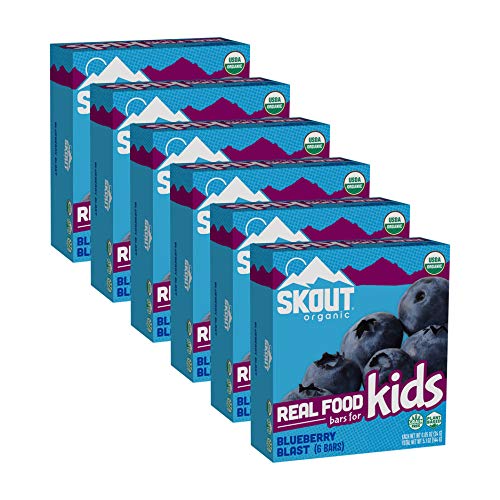 Skout Organic Blueberry Blast Real Food Bars For Kids 36 Pack
