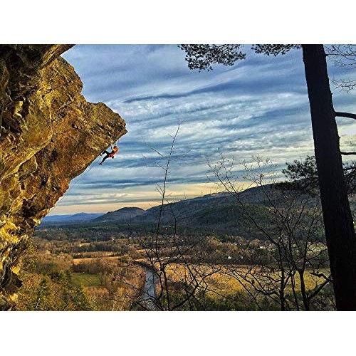 Skratch Labs Sport Hydration Drink Mix, Lemon Lime 20 Single Se