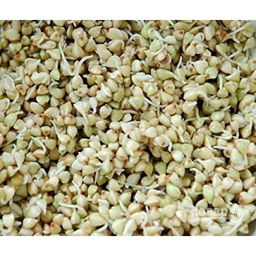 Skvira Buckwheat Groats Raw Green Gluten Free Gmo Free 800Gr/2