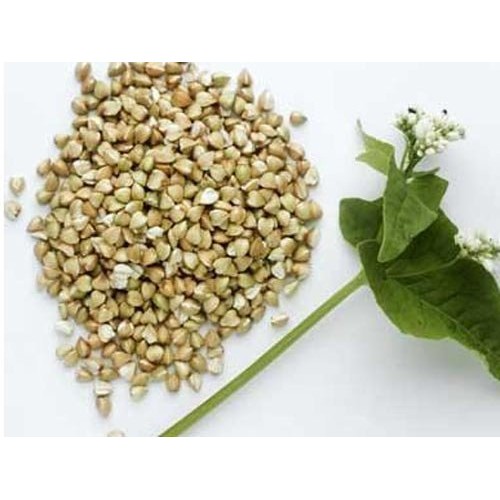 Skvira Buckwheat Groats Raw Green Gluten Free Gmo Free 800Gr/2