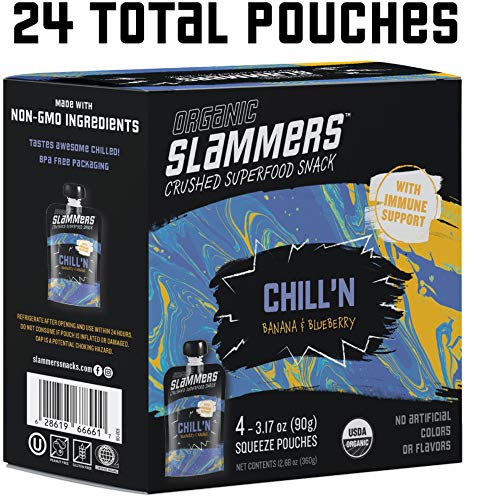 Organic Slammers Superfood Fruit Snack 24 Pouches Chill’N Frui