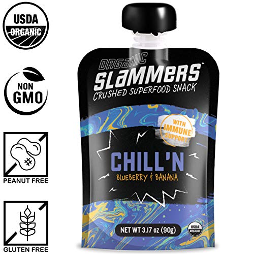 Organic Slammers Superfood Fruit Snack 24 Pouches Chill’N Frui