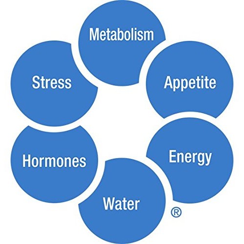 Slimquick Pure Extra Strength Mixed Berry Drink Mix, Powerful Di