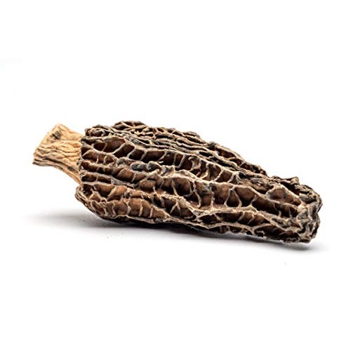 Slofoodgroup Dried Morel Mushrooms Morchella Conica Gourmet Mo