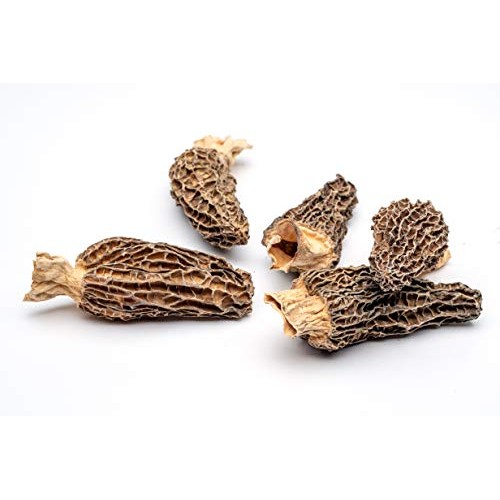 Slofoodgroup Dried Morel Mushrooms Morchella Conica Gourmet Mo