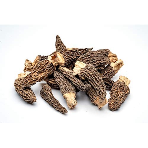 Slofoodgroup Dried Morel Mushrooms Morchella Conica Gourmet Mo