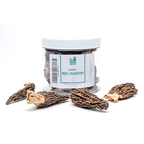 Slofoodgroup Dried Morel Mushrooms Morchella Conica Gourmet Mo