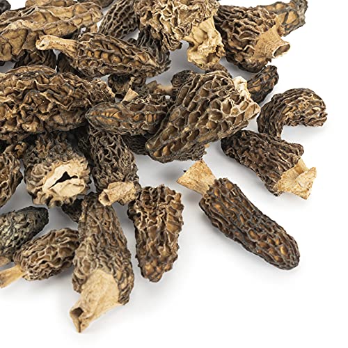 Slofoodgroup Dried Morel Mushrooms Morchella Conica Gourmet Mo