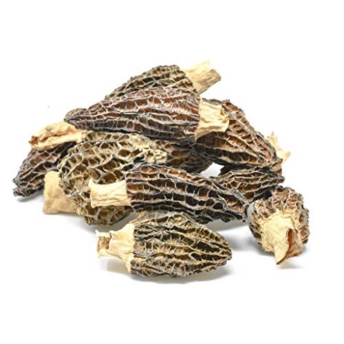 Slofoodgroup Dried Morel Mushrooms Morchella Conica Gourmet Mo