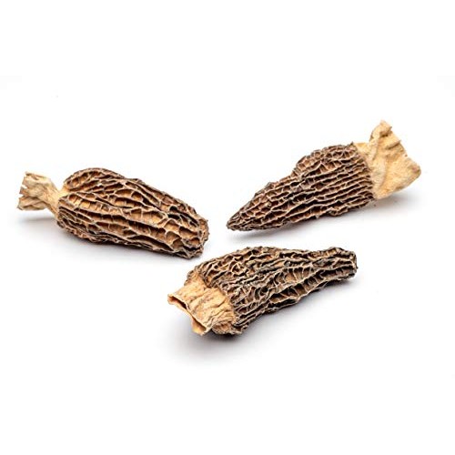 Slofoodgroup Dried Morel Mushrooms Morchella Conica Gourmet Mo
