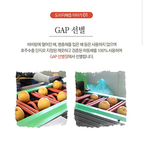 SLOWFOOD Premium Real Korean Pear, Balloon Flower Root, & Ginger...