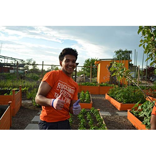 Small Axe Peppers Nyc Hot Sauce Set, 3 5 Oz- All Natural, Non-