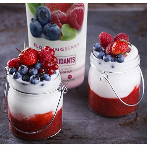 Smartfruit Blooming Berry + Antioxidants, 100% Real Fruit Purée,