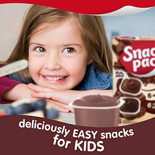 Snack Pack Pie Pudding Cups, Chocolate Fudge Swirl, 39 Oz 12 Ct