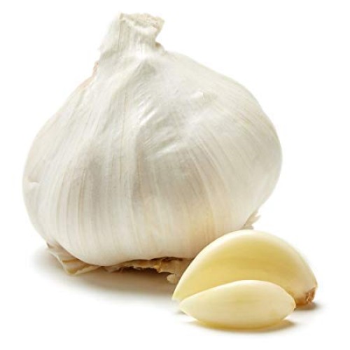 Snow Hill Himalayan Organic Garlic Bulb Grow On High Altitude, F