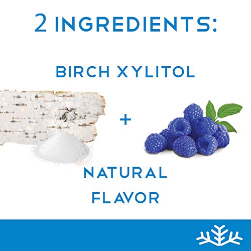 Blue Raspberry Xylitol Candy Chips - Snø 1Lb Bag - Handcrafted W