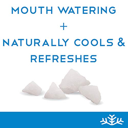 Blue Raspberry Xylitol Candy Chips - Snø 1Lb Bag - Handcrafted W