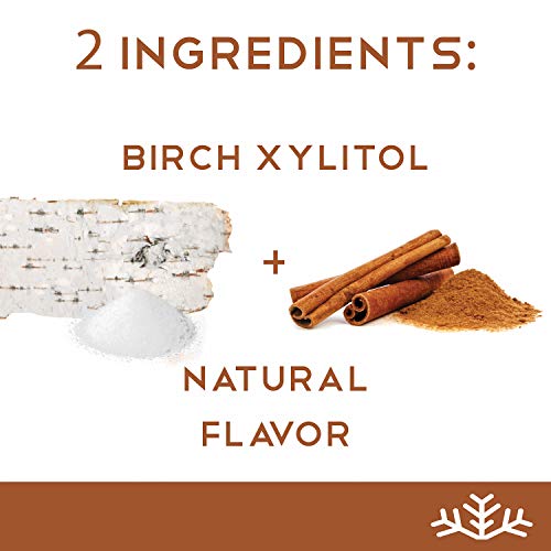 New Look Cinnamon Xylitol Candy Chips 3-Pack - Snø 1.5Oz Tin